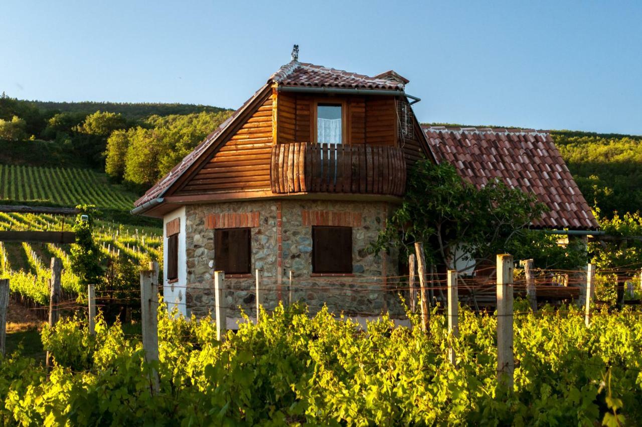Robinson Vila Kitokret Kutjevo Exterior photo