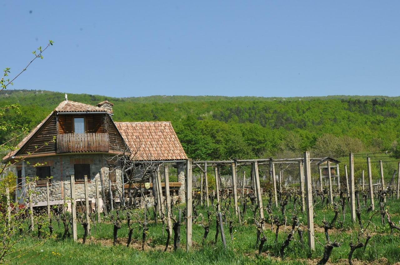 Robinson Vila Kitokret Kutjevo Exterior photo